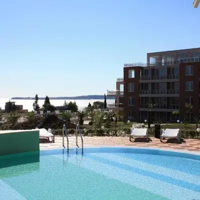 Great Choice Apartment