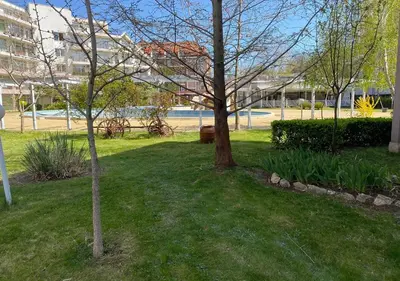 a park with two trees in the grass at Kims One-bed Apart for rent at Sunny Beach Resort in Sunny Beach