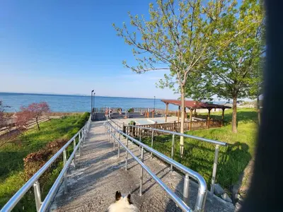 a dog walking down a path next to the ocean at Комплекс Конти in Ravda
