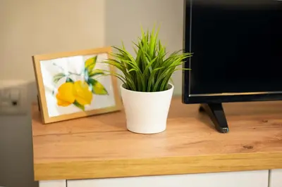 a plant sitting on a desk next to a computer monitor at Cozy Home Santa Marina Sozopol in Sozopol