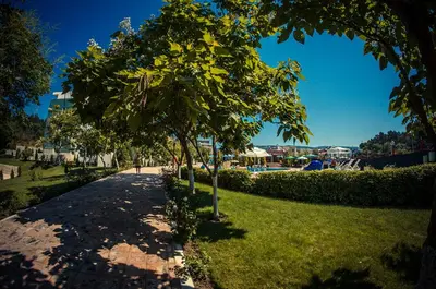 a tree in a park next to a sidewalk at GT Green Fort Beach Apartments in Sunny Beach