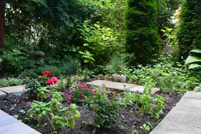 a garden with many different flowers and plants at City Center Apartment with a Backyard in Burgas City