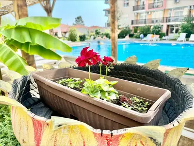 a planter with a red flower in it next to a pool at Chateau Aheloy 2 - Menada Apartments in Aheloy
