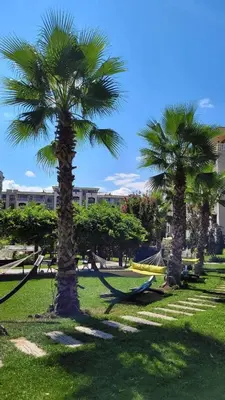 two palm trees with a hammock in a park at Wonderful Deluxe Appartement in Cascadas Family Resort Sunny Beach in Sunny Beach