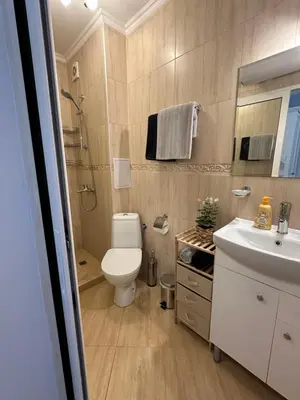 a bathroom with a toilet and a sink and a shower at Studio E32 Atia Resort Chernomoretz in Chernomorets