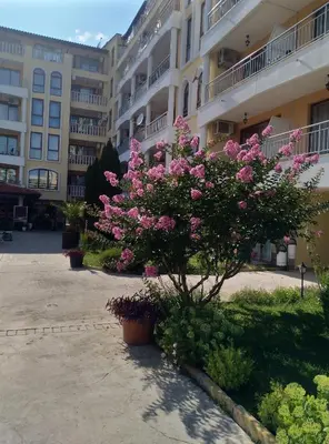 a bush with pink flowers in front of a building at Апартхотел Роял Дриймс in Sunny Beach