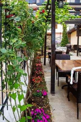a garden with flowers and a table and chairs at TSB Roxy Apartments in Sunny Beach