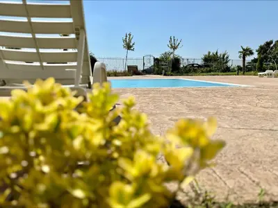 a chair and a swimming pool with a chair and a plant at Ipanema Beach - Menada Apartments in Sveti Vlas