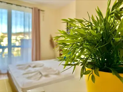 a green plant in a yellow vase in a room at Ipanema Beach - Menada Apartments in Sveti Vlas