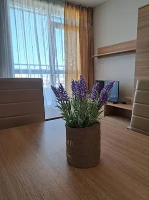Gallery image of Sorrento Sole Mare apartment in Sveti Vlas