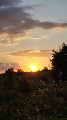 a sunset in a field with the sun setting at Апартаменты за гости Гаван in Byala