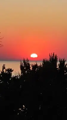 a sunset over the ocean with trees in the foreground at Апартаменты за гости Гаван in Byala