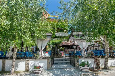 a patio with trees and chairs and plants at Vromos Guest House in Chernomorets