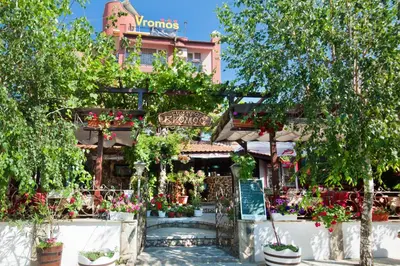 a building with flowers and plants in front of it at Vromos Guest House in Chernomorets