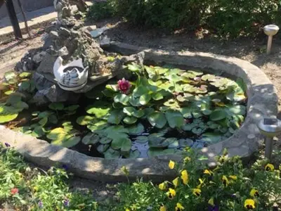 a garden with a pond with flowers and a statue at Morski Rai Apartments in Byala