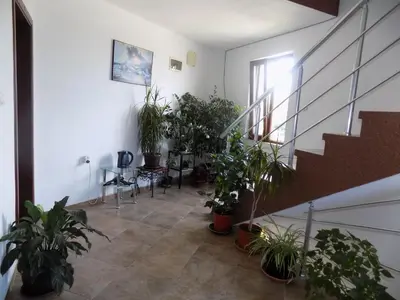 a hallway with potted plants and stairs in a building at Zenith Guest House in Sozopol