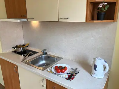 a kitchen counter with a sink and a bowl of tomatoes at Beatris Family House in Sunny Beach