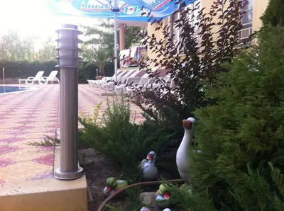 two birds sitting in a garden near a pool at Beatris Family House in Sunny Beach