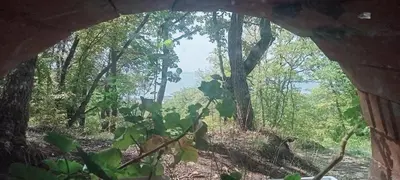 a view of a forest through a window at Coral Beach Apartment in Sveti Vlas