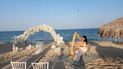 a woman sitting in a chair playing a harp on the beach at Golden Sunrise in Shkorpilovtsi