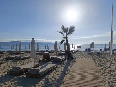 a beach with chairs and umbrellas and a palm tree at Sun City Apartments in Sunny Beach