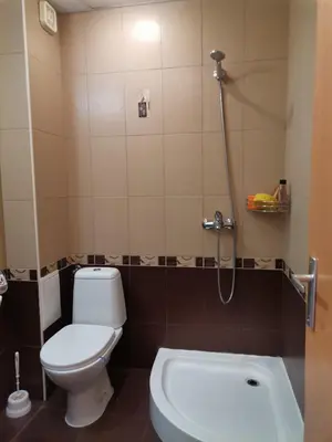 a bathroom with a toilet and a shower at Апартамент в Oasis beach Kamchia - Лунна пътека in Dolen Bliznak