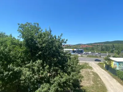a large tree on the side of a road at AMADEUS 1 - 13B Large Two Bedroom Apartment in Sunny Beach