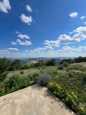 a view of a field of flowers on a hill at Комплекс Тополица -The beautiful view in Aytos