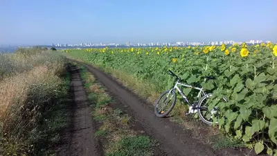 a bike parked on a dirt road in a sunflower field at DDenko Apartment in Burgas City