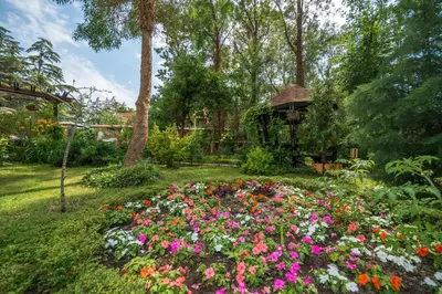 a garden with flowers and a gazebo at Hotel Venus in Sunny Beach