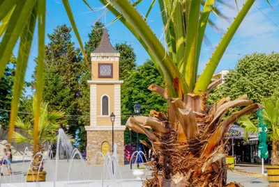 a clock tower in a park with a palm tree at Chrystal Guest House in Obzor