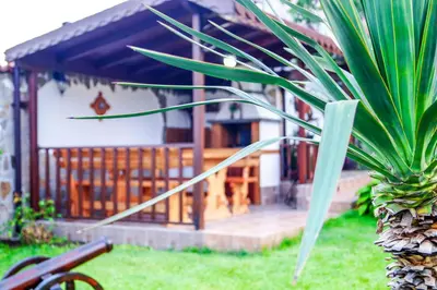 a palm tree in front of a house at Chrystal Guest House in Obzor