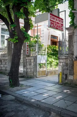 a tree on a sidewalk in front of a building at Стаи за гости in Varna City