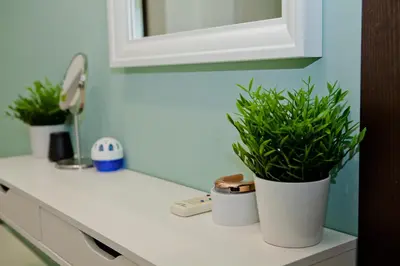 a bathroom counter with two potted plants on it at Festival and Congress Centre Appartment Varna in Varna City