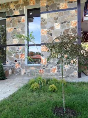 a small tree in front of a stone building at Zapovedni Rai in Primorsko