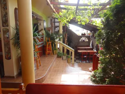 a room with plants and tables and chairs in a building at Guest House Rosa in Kiten