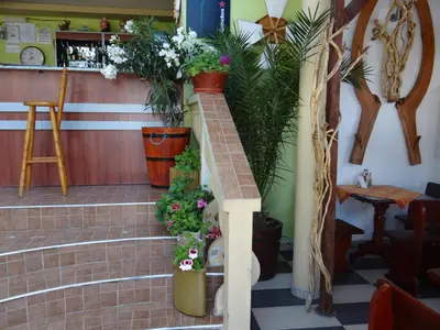 a set of stairs with potted plants on them at Guest House Rosa in Kiten