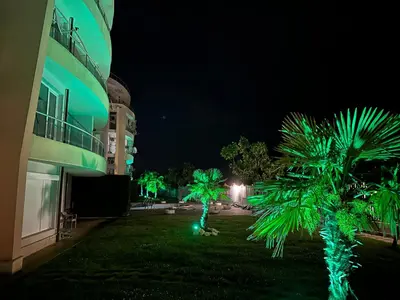 two palm trees are lit up in a yard at night at Alex Beach in Elenite