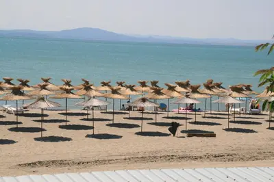 a group of umbrellas and chairs on a beach at Paradise Sarafovo Beach in Burgas City
