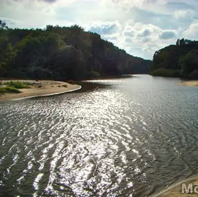 a body of water with trees in the background at Apartment Oasis A4 Kamchia in Bliznatsi