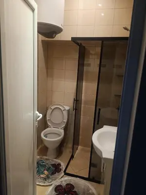 a small bathroom with a toilet and a sink at Cozy flat Sisilia center in Varna City