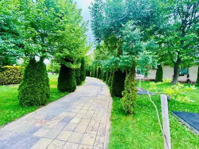 a path in a garden with trees and bushes at Paradise View in Sunny Beach