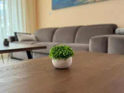 a green plant sitting on top of a table at Luxury Sea Villas - Kabalan in Burgas City