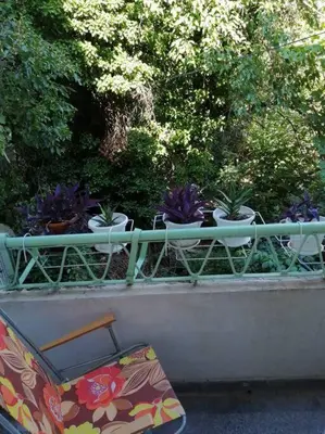 a row of potted plants sitting on a ledge at Римски Терми Варна in Varna City