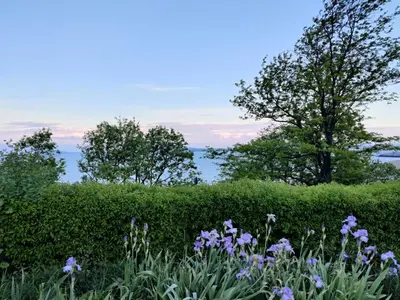 a hedge with purple flowers and trees in the background at Luxury Sea Sunset Deluxe Apartment in Burgas City