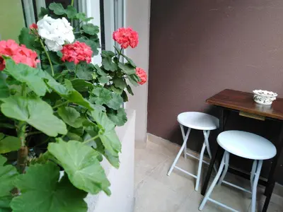 a plant with red and white flowers next to a table at Дом Крумови in Burgas City
