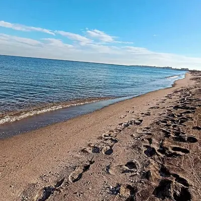 Gallery image of Apartment Alex - Апартамент Алекс in Pomorie