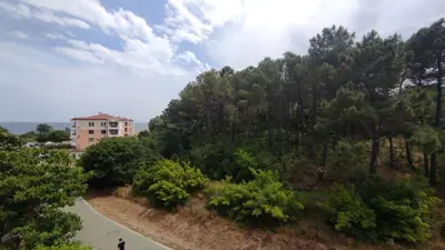 a building on a hill with trees and a road at Sea and Sand Apartment in Sozopol
