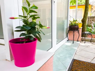 a plant in a pink pot sitting on a porch at YES Varna Studios in Varna City