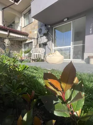 a butterfly on a plant in front of a house at Порт Лозенец Морска Гледка - Port Lozenets Sea View in Lozenets